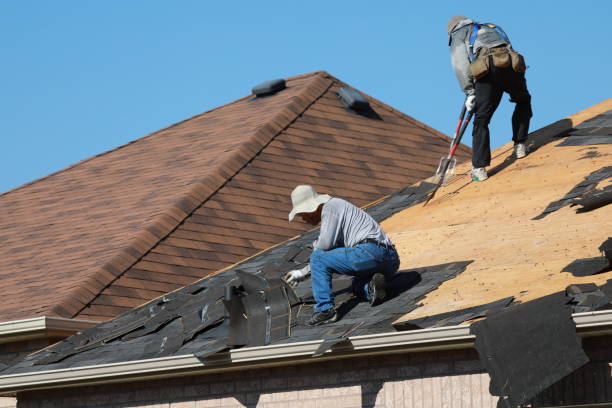 Best Roof Installation  in Langley Park, MD